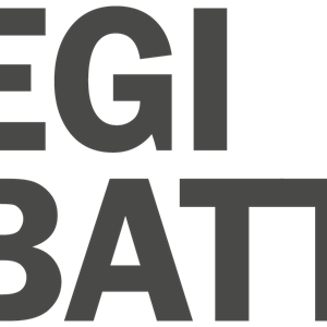 Photo of EGI Battery