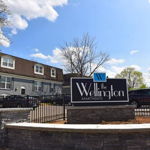 The Wellington