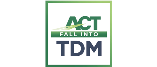 Fall Into the Sea of TDM