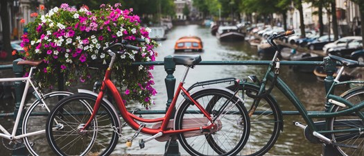 TDM Delegation to the Netherlands: Gathering Sustainable Mobility Best Practices from a Global Leader