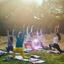 Rise 2026 Sunrise Yoga Sponsor