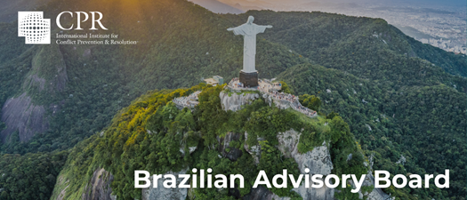 Brazilian Advisory Board Meeting - Videoconference December 17