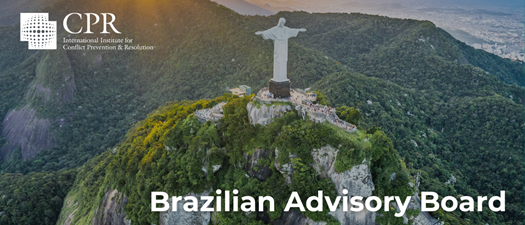 Brazilian Advisory Board Meeting - Videoconference August 1