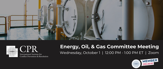 Energy, Oil and Gas Committee Meeting