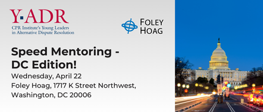Y-ADR Speed Mentoring - DC Edition