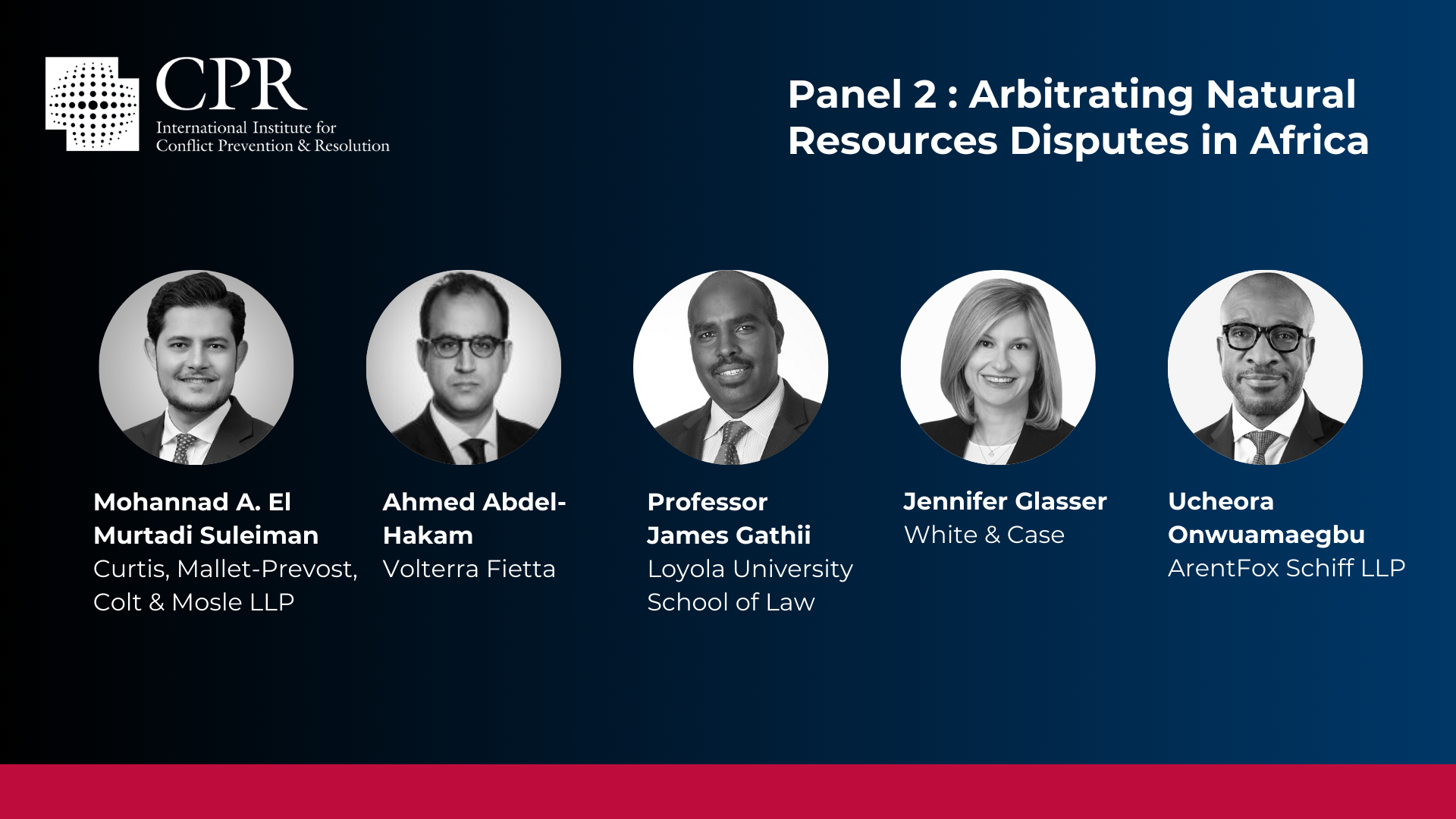 Panel 2 - Arbitrating Natural Resources Disputes in Africa