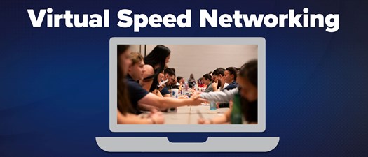 Virtual Speed Networking