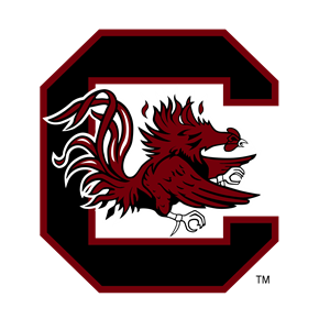 Photo of University of South Carolina