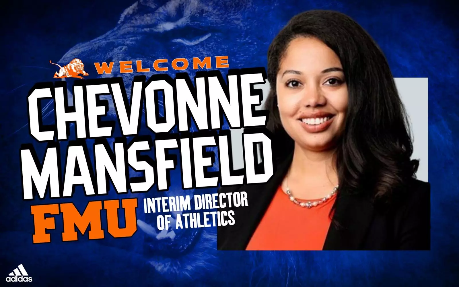 Interim AD