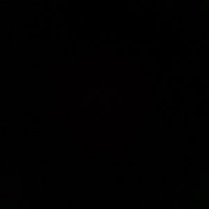 Photo of None