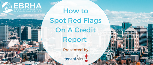 How to Spot Red Flags on a Credit Report