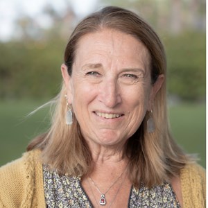 Lisa Wilkin