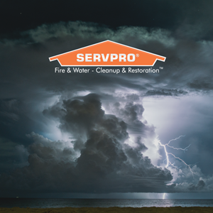 Photo of SERVPRO of Tampa Southeast