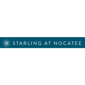 Photo of Starling at Nocatee