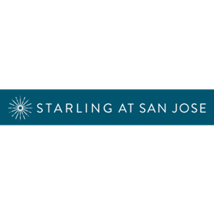 Photo of Starling at San Jose