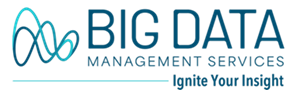 BDMS Logo