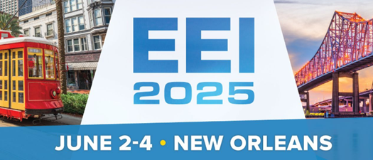 EEI 2025 Conference