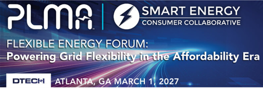 Flexible Energy Forum 2027