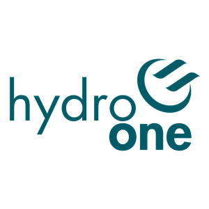Hydro One Networks Representative
