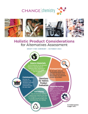 Holistic Product Considerations for Alternatives Assessment
