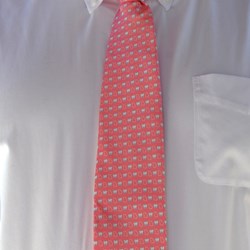 Pink Tooth Tie - Regular Length 