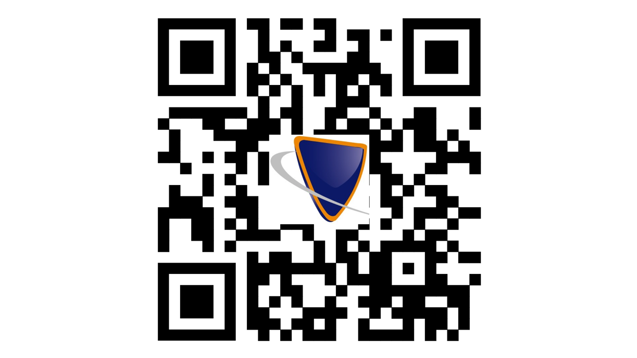 https://www.sdvosb.services