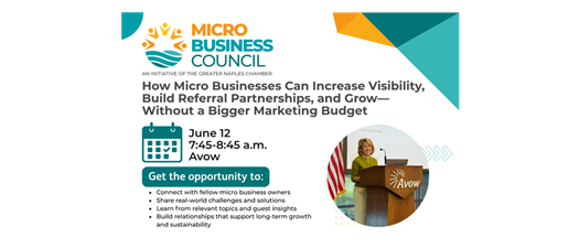 Micro Business Council - June 2026