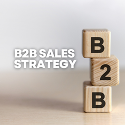 B2B Sales Strategy - Member - Regular Price