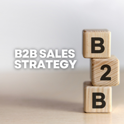 B2B Sales Strategy - Non-member - Regular Price