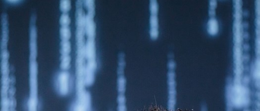 Cybersecurity for Startups | Info Session