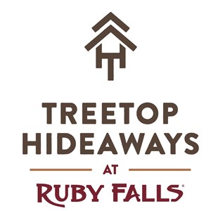 Photo of Treetop Hideaways Luxury Treehouse Lodging