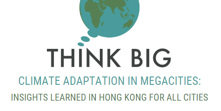 Virtual Forum: Climate Adaptation in Megacities Live Q+A