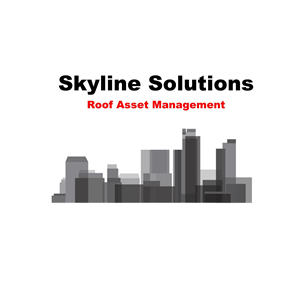 Photo of Skyline Solutions RAM