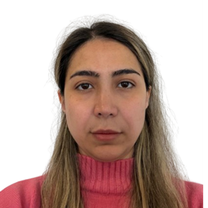 Mina M. Iravani
