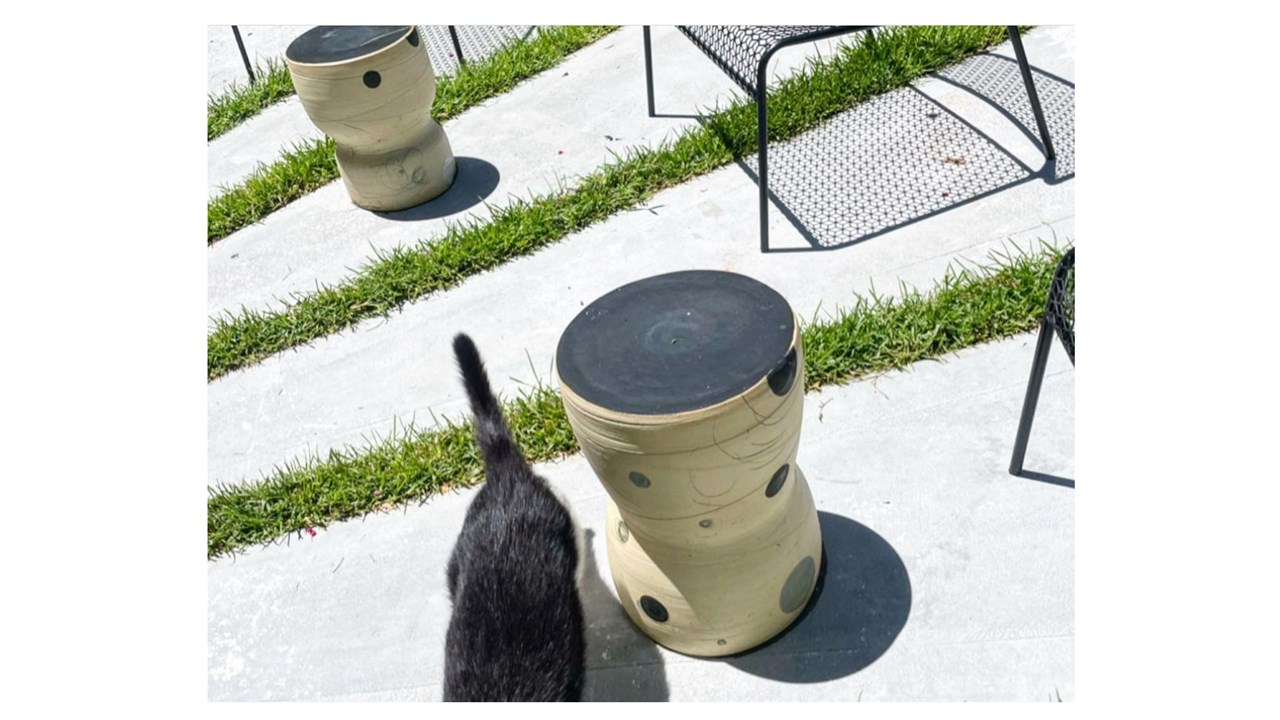 Wheel-thrown ceramic table stools with Clarence the Cat