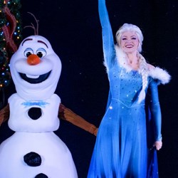 Holiday Market Snow Princess