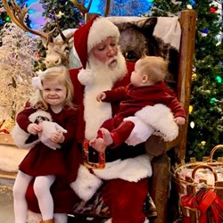 Holiday Market Elsa or Santa