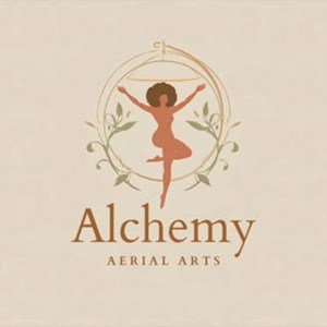 Photo of Alchemy Aerial Arts