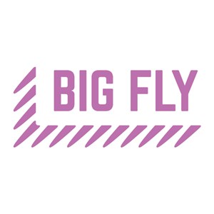 Photo of BigFly Communications