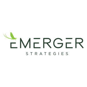 Photo of Emerger Strategies