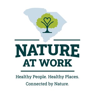 Photo of Vimcity, LLC