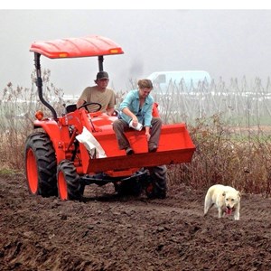 Photo of Rooting Down Farms