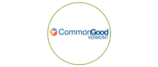 Defining Nonprofit Vitality: A Framework for Organizational Sustainability and Impact