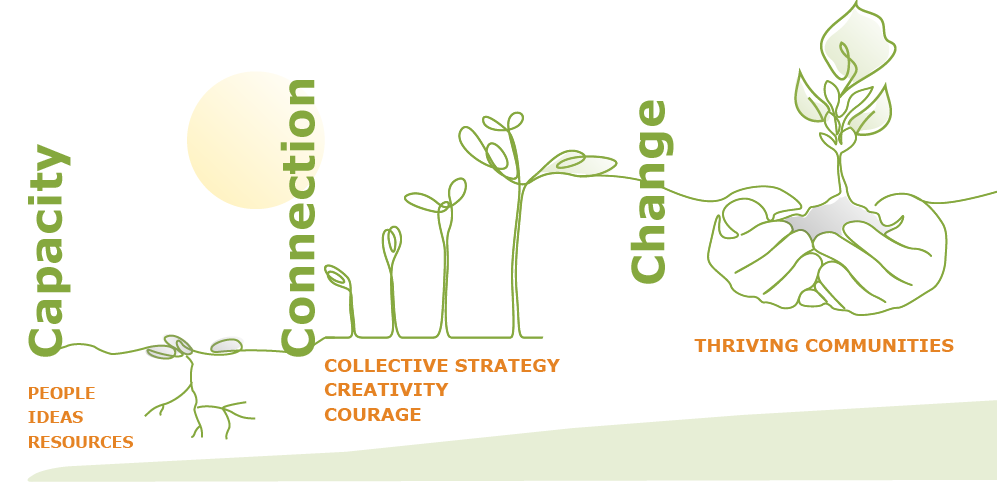 hand drawn graphic with three sections - the first section shows seeds and roots with the words Capacity: people, ideas, resources. The second section shows five plants in progressiving stages of growth with words saying Connection: Collective strategy, creativity, courage. The third section shows hands holding a grown plant with the words Change: thriving communities. 