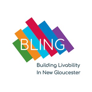 Photo of BLING