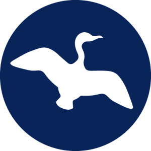 Photo of Cormorant Collective