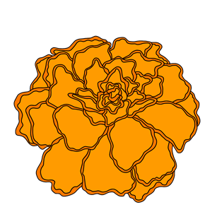 Photo of Marigold Strategy
