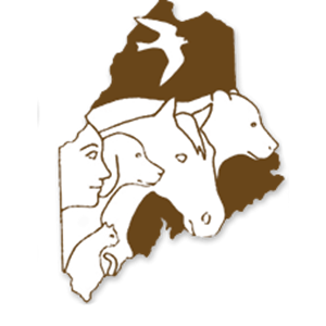 Photo of Maine Friends of Animals