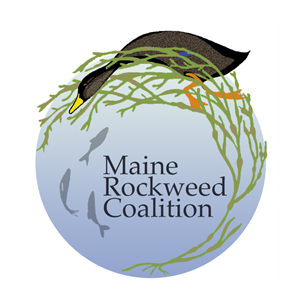 Photo of Maine Rockweed Coalition