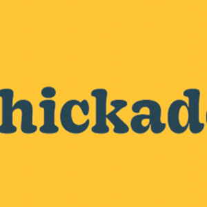 Photo of Chickadeeds